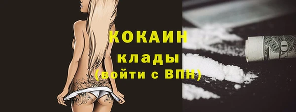 стаф Михайловск