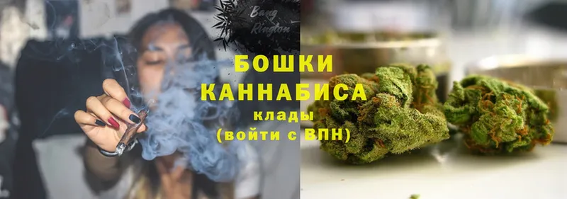 Канабис White Widow  Нестеров 