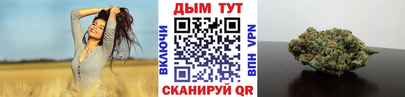 omg как зайти  Нестеров  это Telegram  Шишки марихуана план 